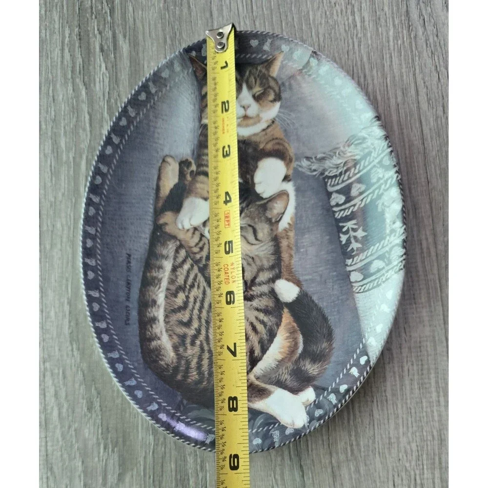 2002 Bradford Exchange Kitty Comforts Sweet Slumber Oval Cat Collector Plate